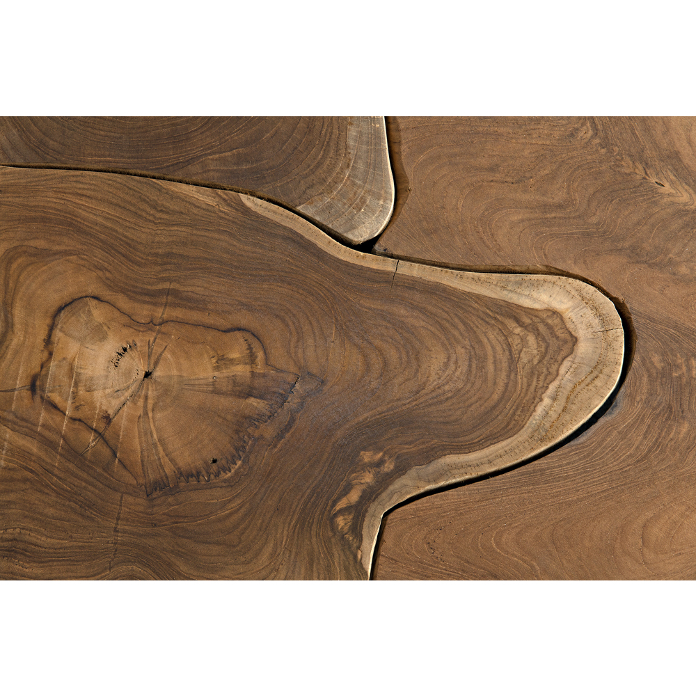 Vert 47.5 X 31.5 inch Clear Coat Flat Coffee Table