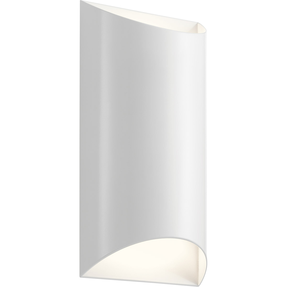 Wesley LED 14 inch Outdoor Wall Clear Tempered Glass Medium