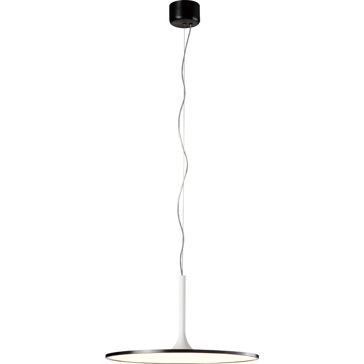 Piano 24 inch Brushed Black / Matte White Pendant Ceiling Light