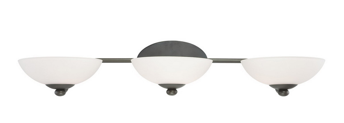 Rainier 3 Light 32 inch Bolivian Bath Vanity Wall Light