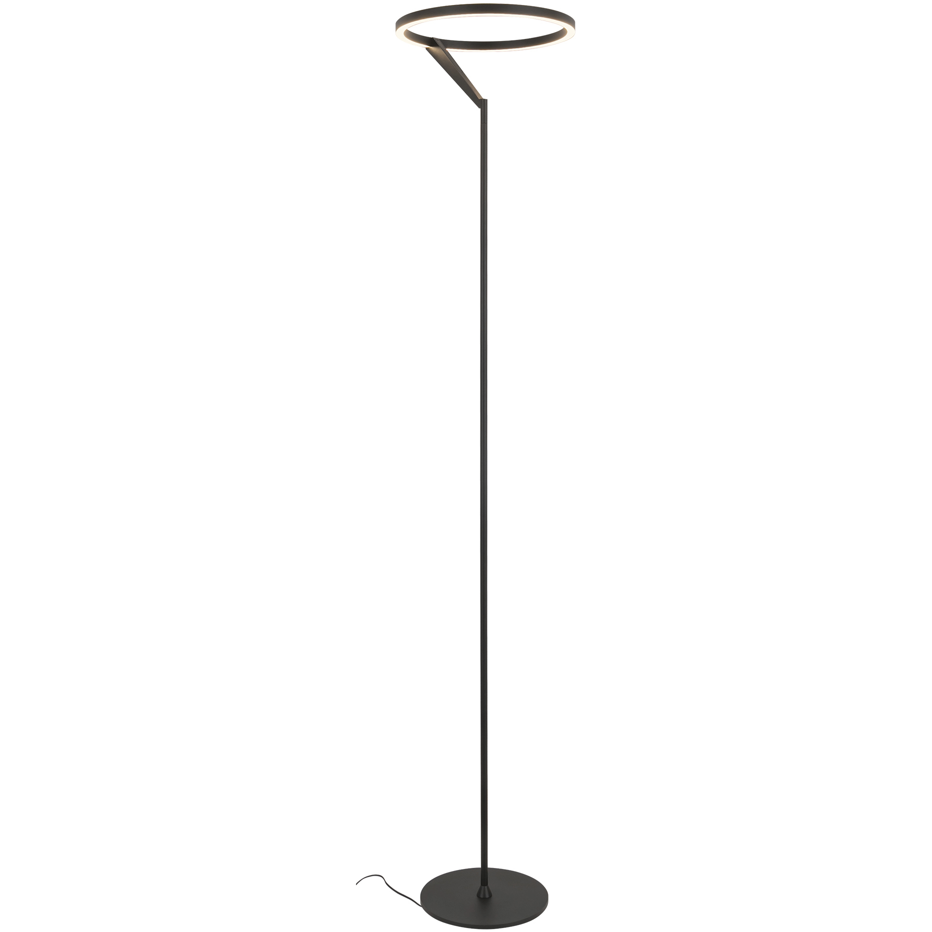 Roda 66.25 inch 25 watt Black Floor Lamp Portable Light