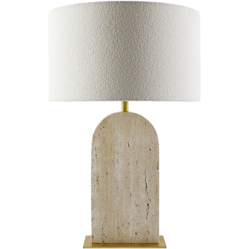 Tenor 24.4 inch 100 watt Plated and Natural Accent Table Lamp Portable Light
