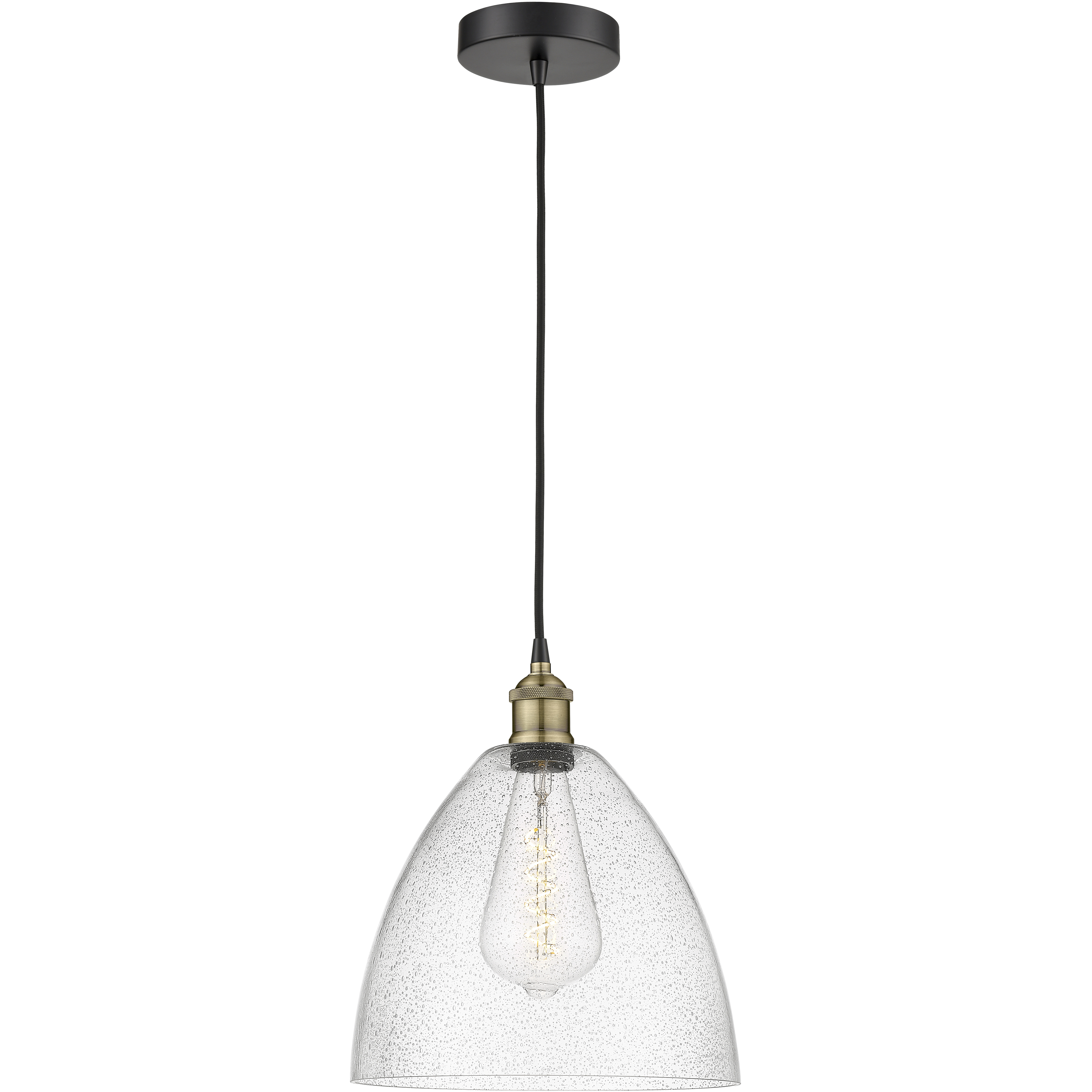 Edison Dome 1 Light 12 inch Black Antique Brass Mini Pendant Ceiling Light in Seedy Glass