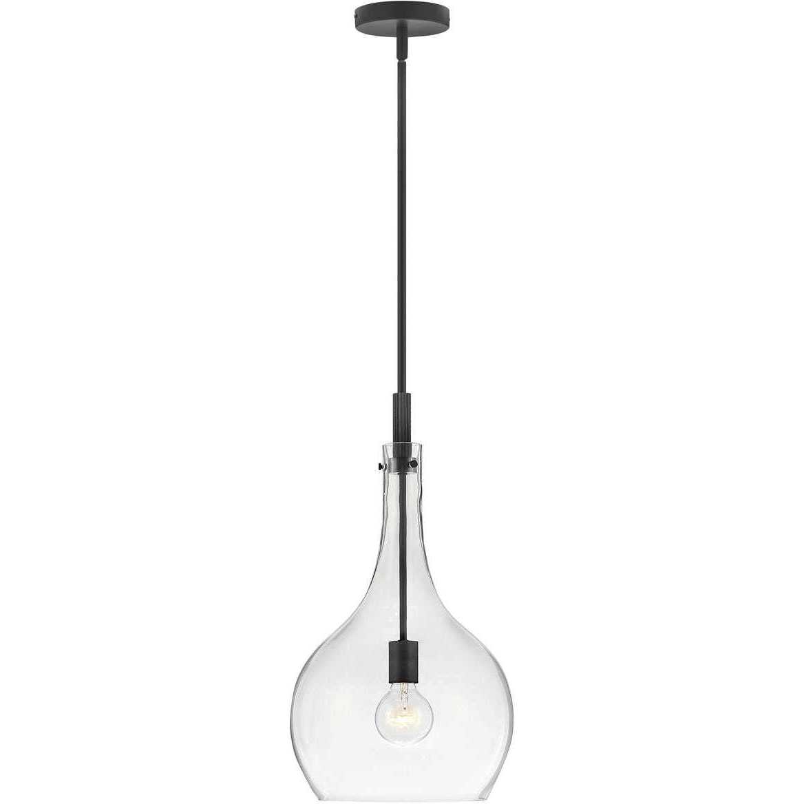 Ziggy 1 Light 12 inch Black Indoor Pendant Ceiling Light in Clear