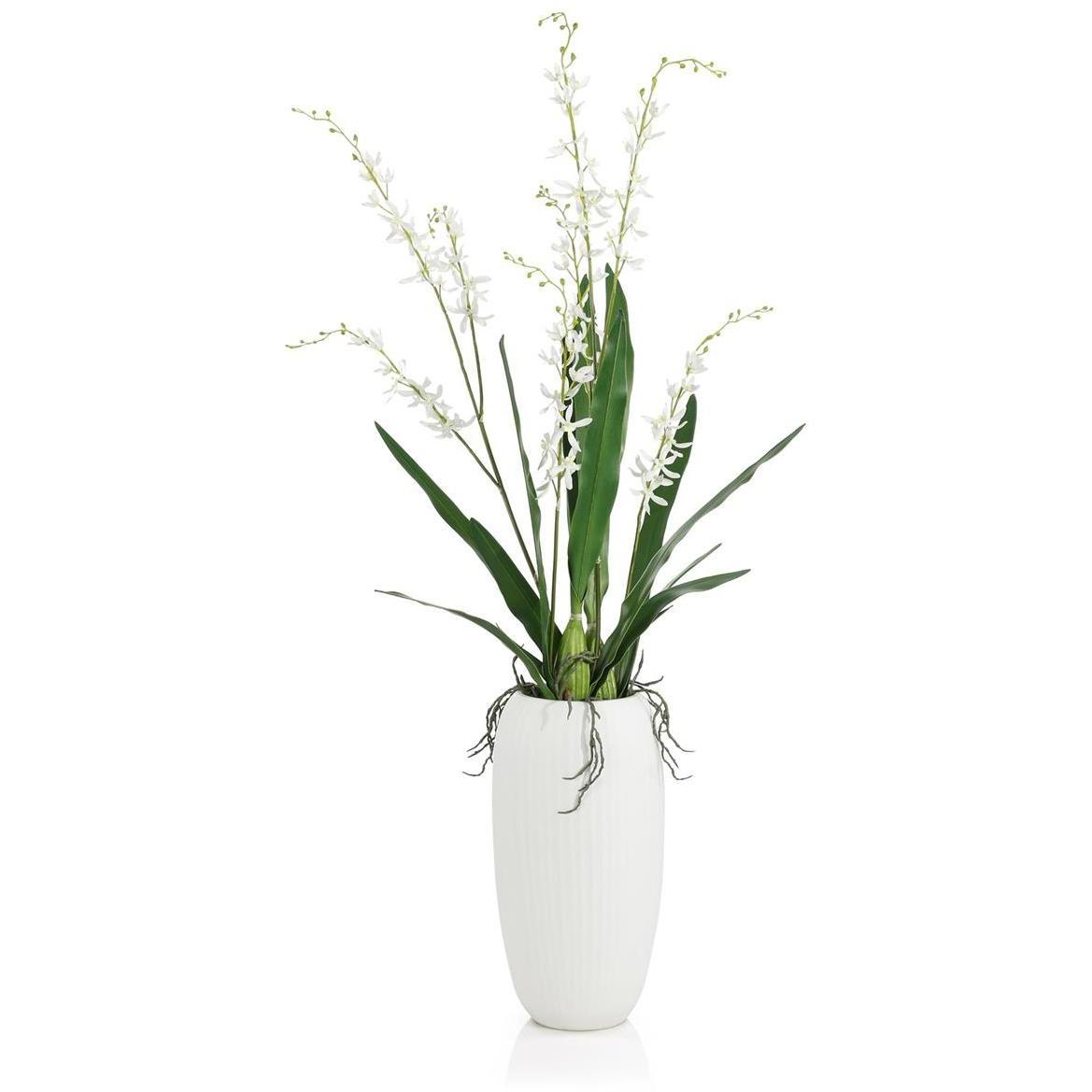 Elegant White Botanical/Floral