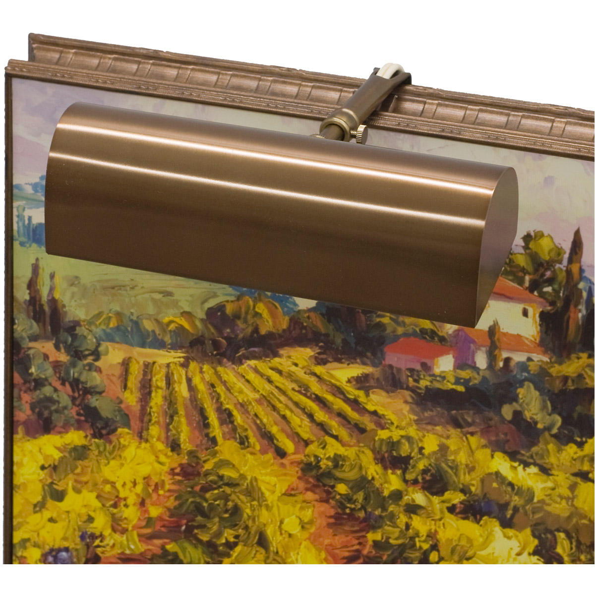 Classic Traditional 40 watt 8 inch Statuary Bronze Picture Light Wall Light