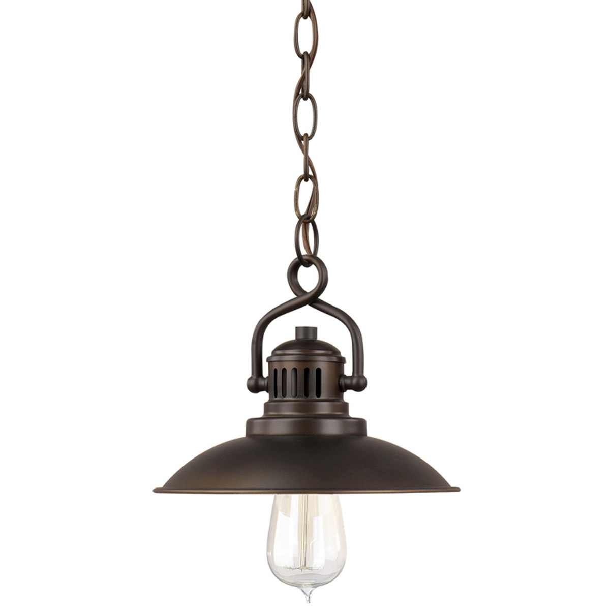Rapids 1 Light 9.5 inch Burnished Bronze Pendant Ceiling Light