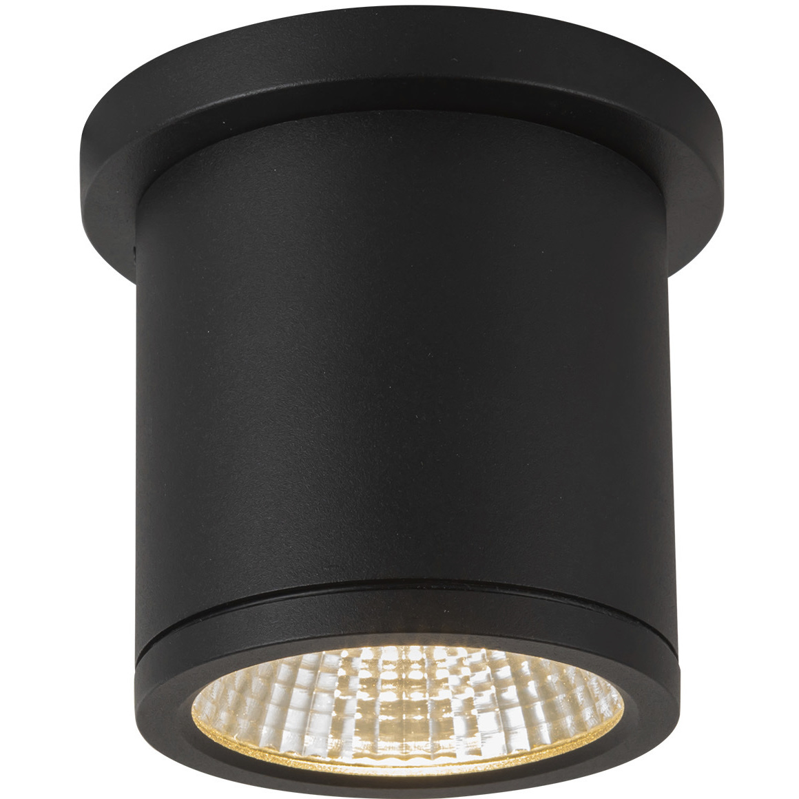 Nordic LED 4.38 inch Black Exterior Ceiling