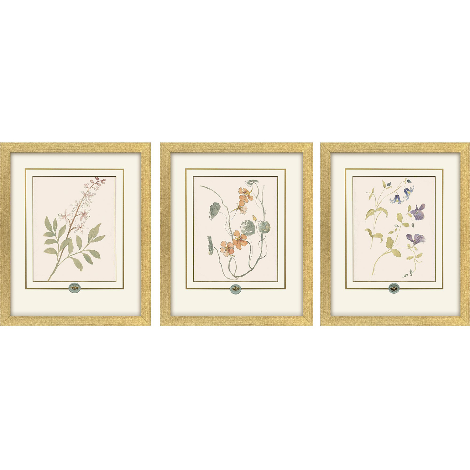 Garden Study Green and Pink and Multi and Yellow Framed Art