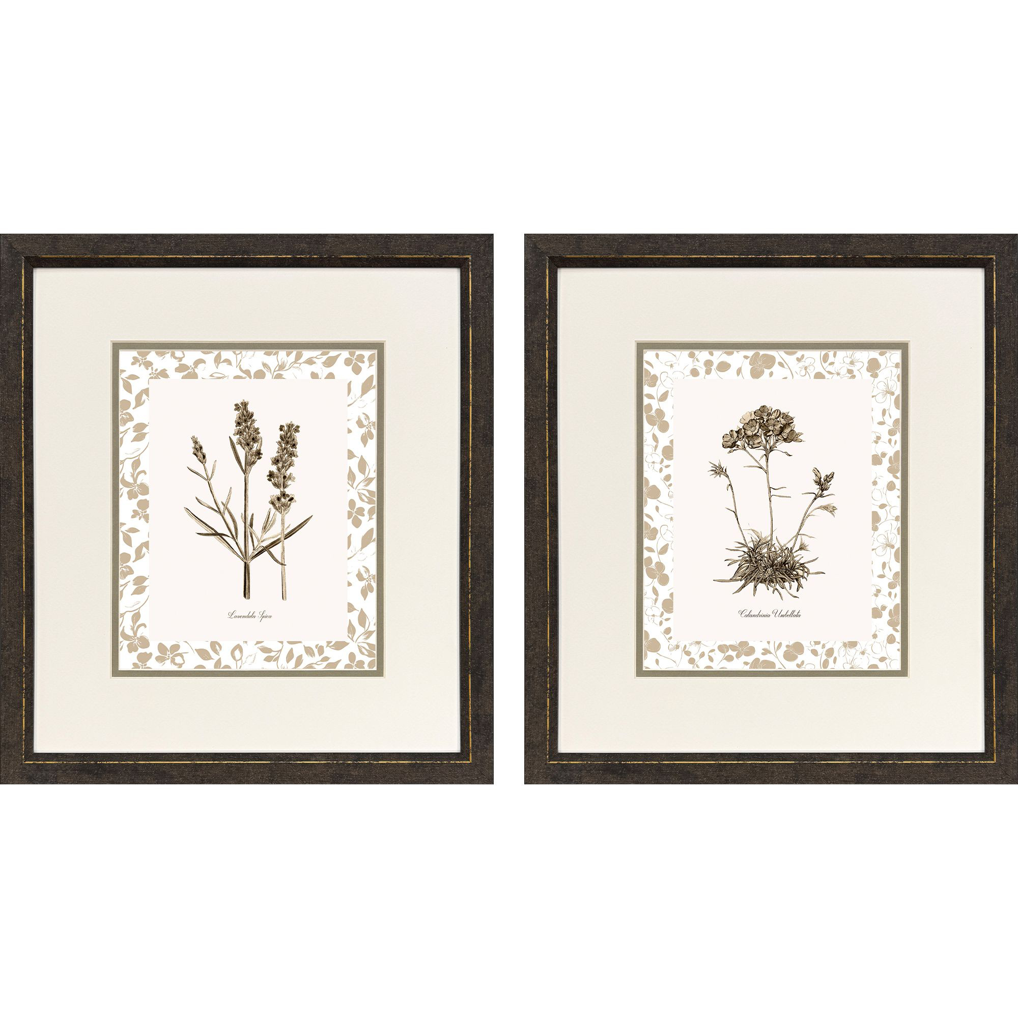 Neutral Imperial II Brown and Neutral Framed Art, Propac