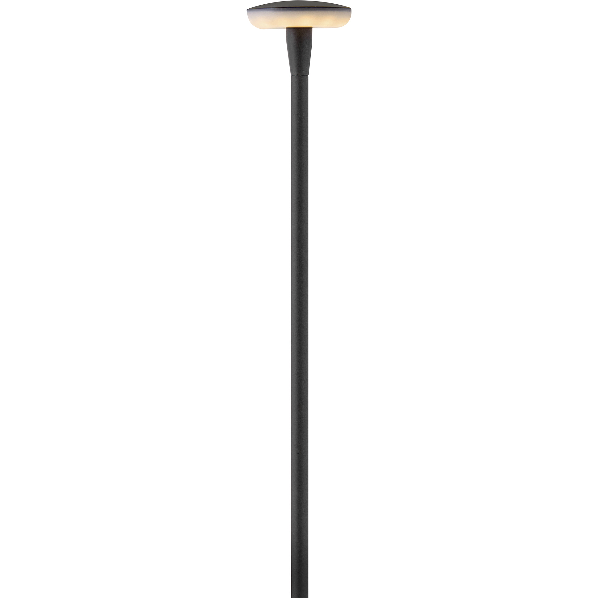 Calie 12v 2.1 watt Black Path Light