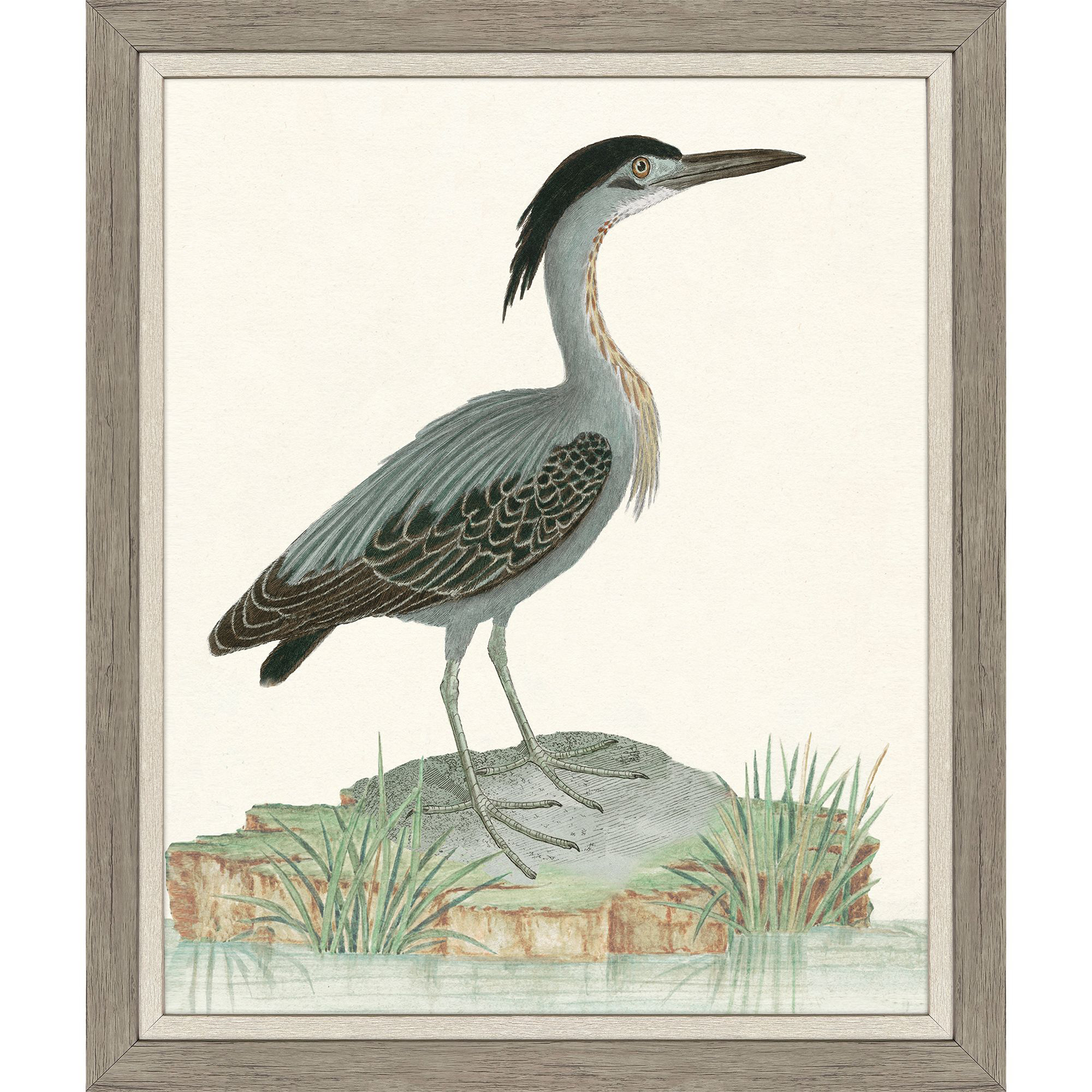 Heron Bird I Blue and Green and Multi Framed Art, Propac