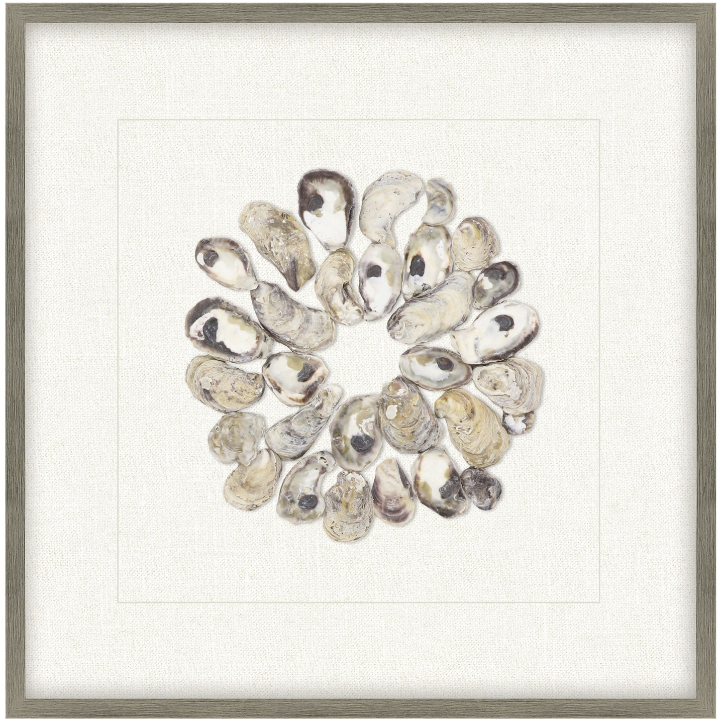 Oyster Shell / Shell Series Beige and Neutral Framed Art