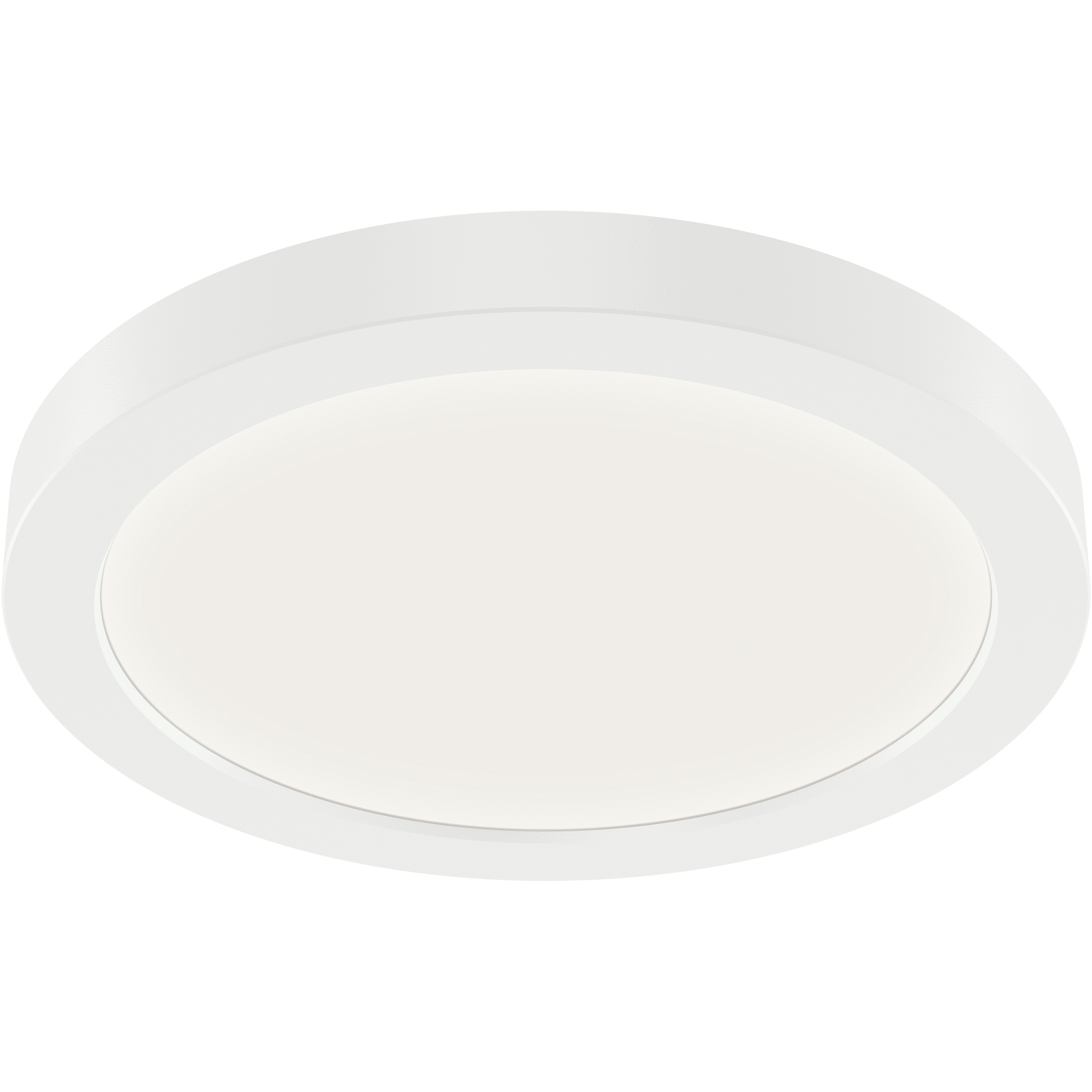 Ara White Downlight