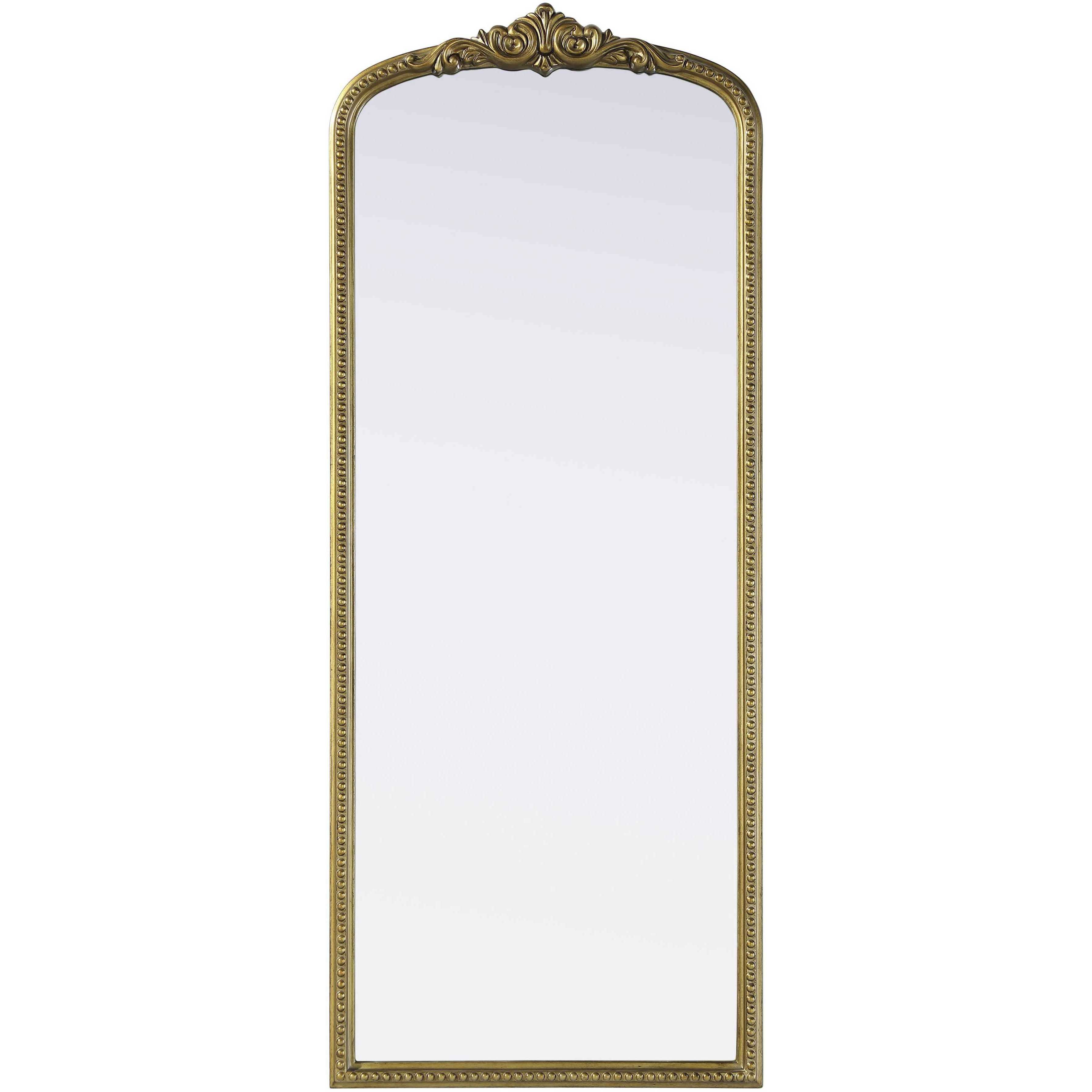 Naomi 60 X 24 inch Antique Brass Mirror