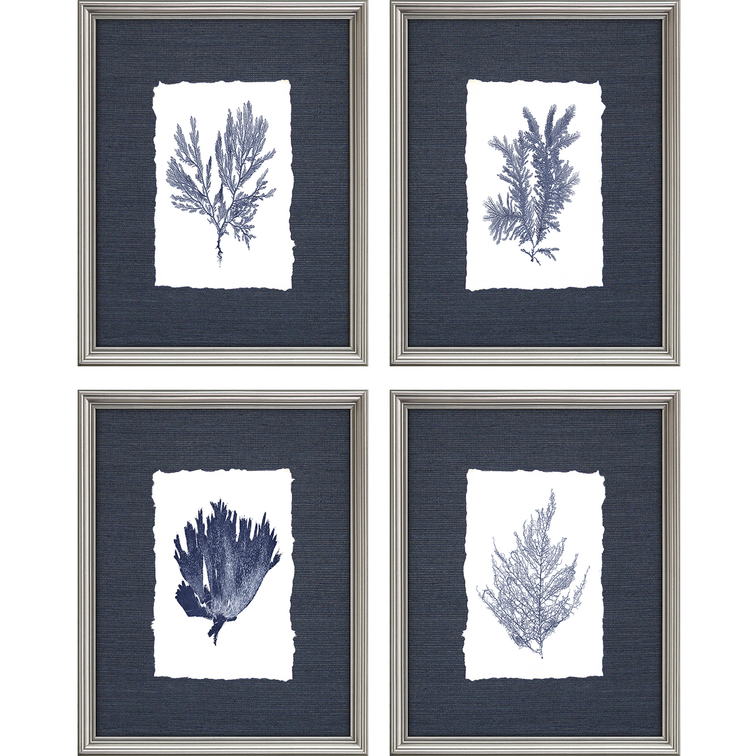 Naturals Blue and White Framed Art