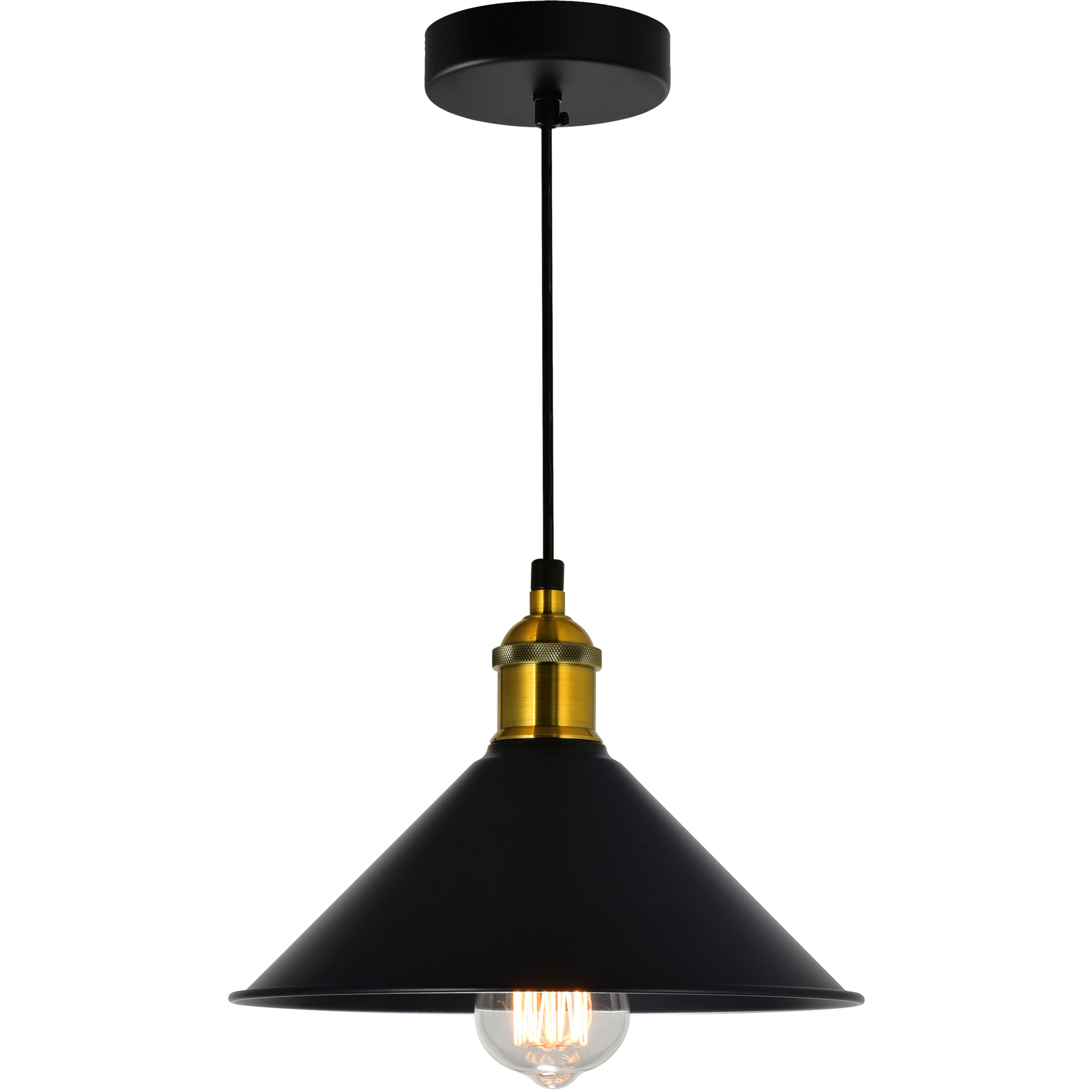 Brave 1 Light 8 inch Black Down Mini Pendant Ceiling Light