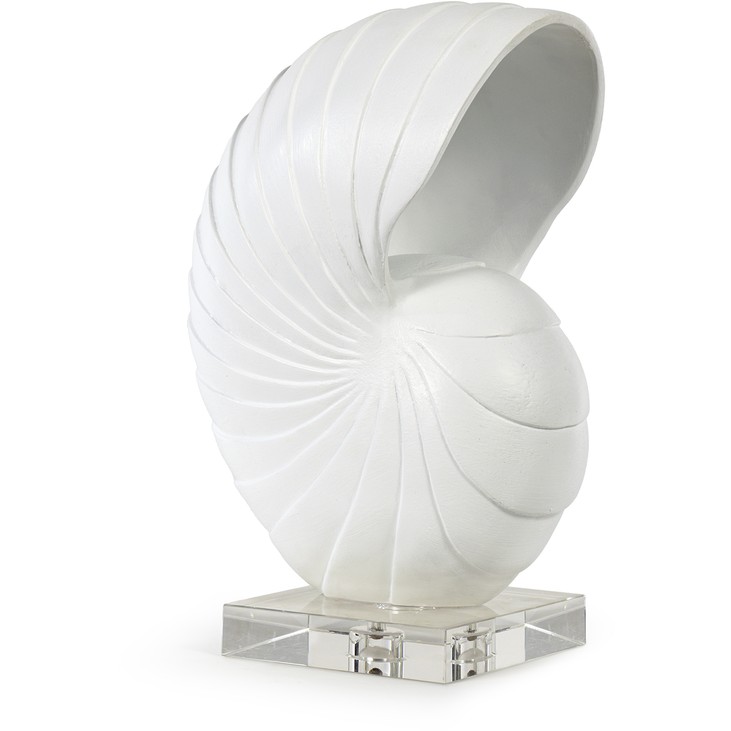 Nautilus 16.5 X 10.75 inch Sculpture