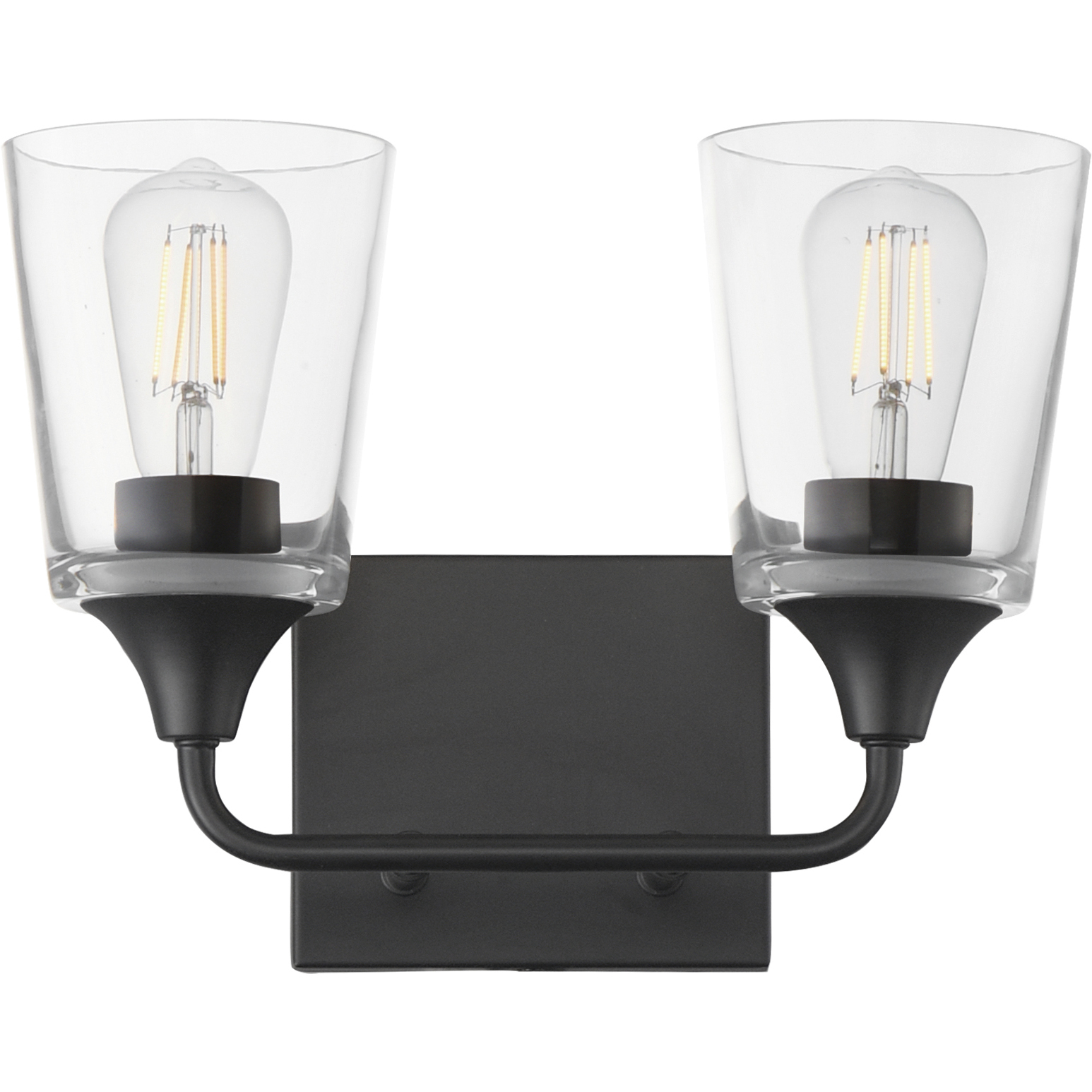 Hudson 2 Light 13 inch Black Bath Vanity Wall Light in Clear