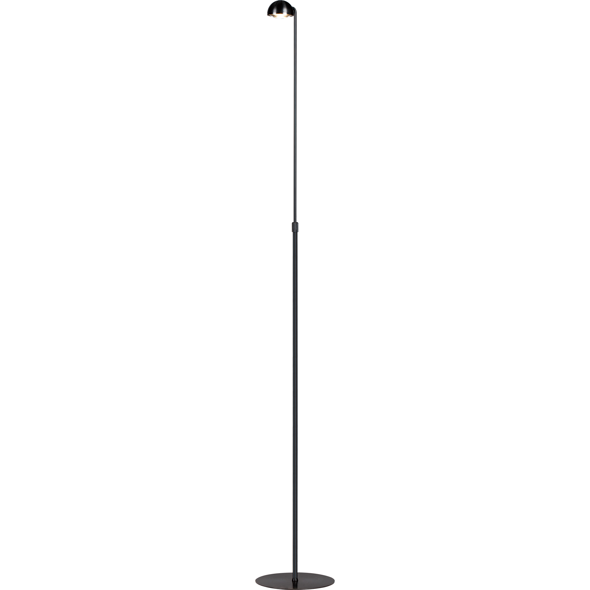 Horoscope 57 inch 6.00 watt Satin Dark Gray Floor Lamp Portable Light