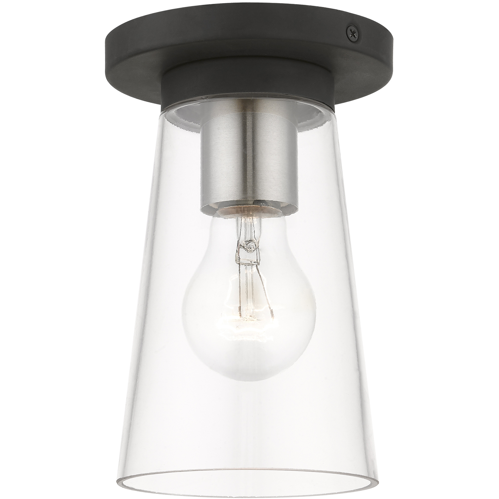 Cityview 1 Light 4.75 inch Black with Brushed Nickel Accents Small Flush Mount Ceiling Light, Small