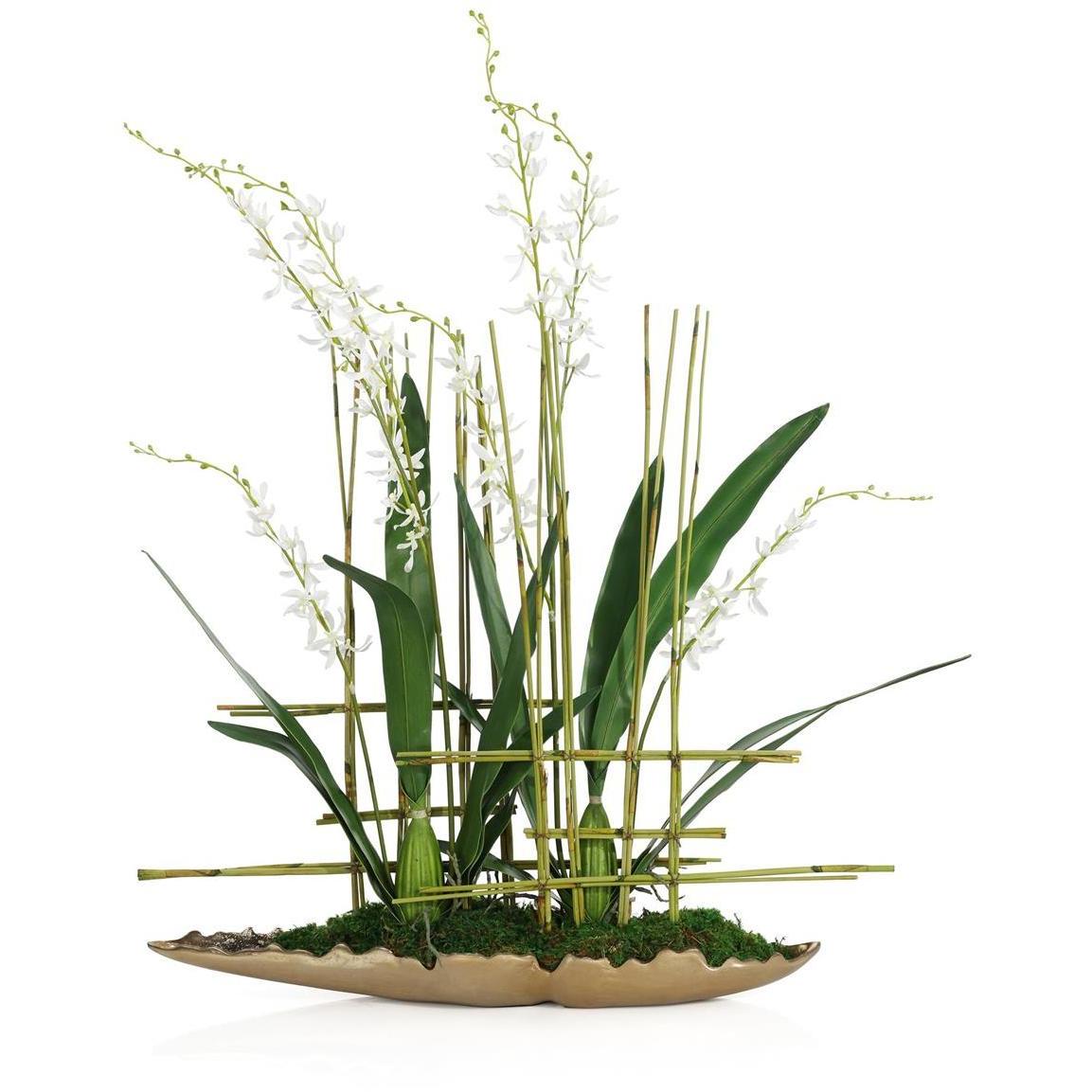 Asian Cymbidiums Botanical/Floral