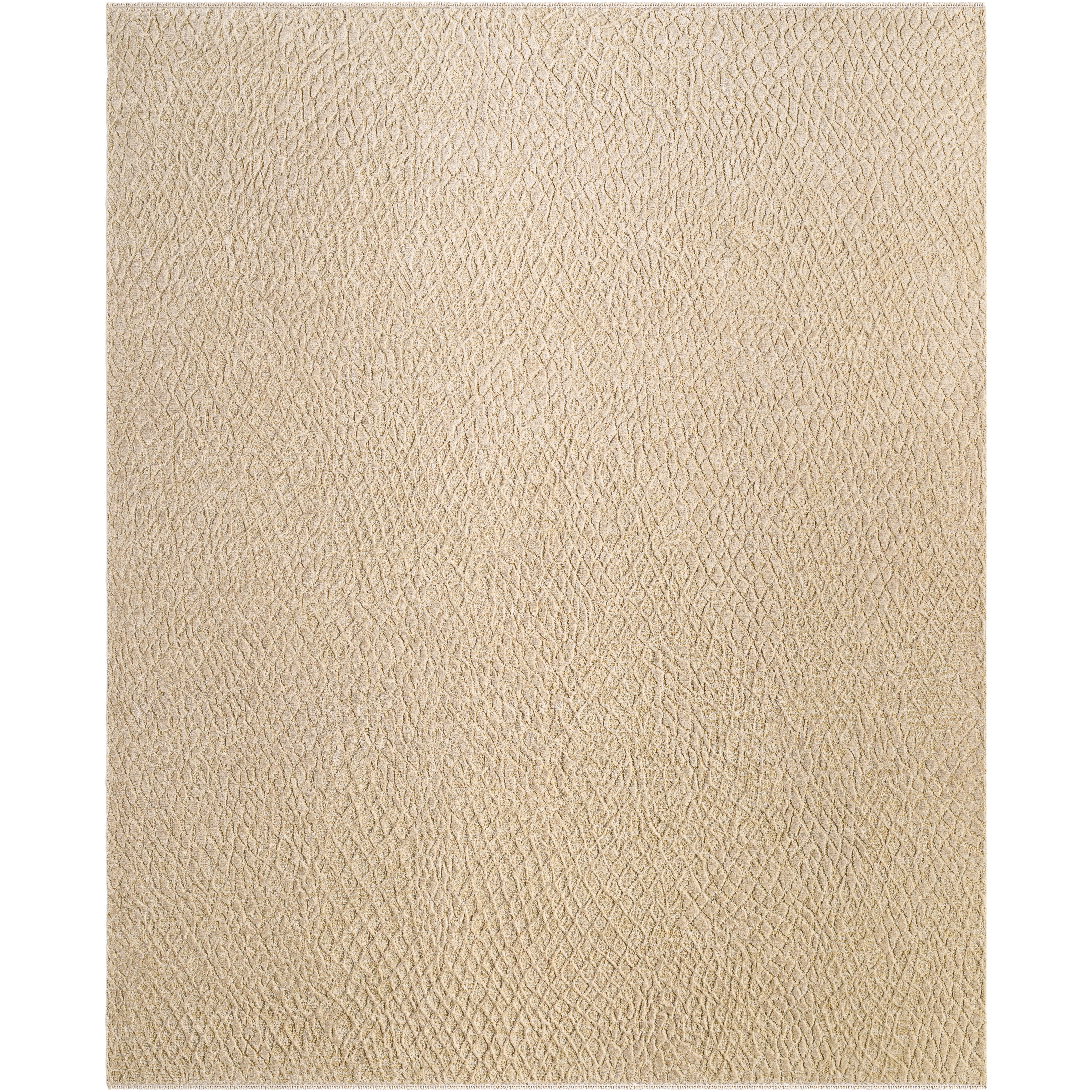 Reyyan 144 X 108 inch Rug