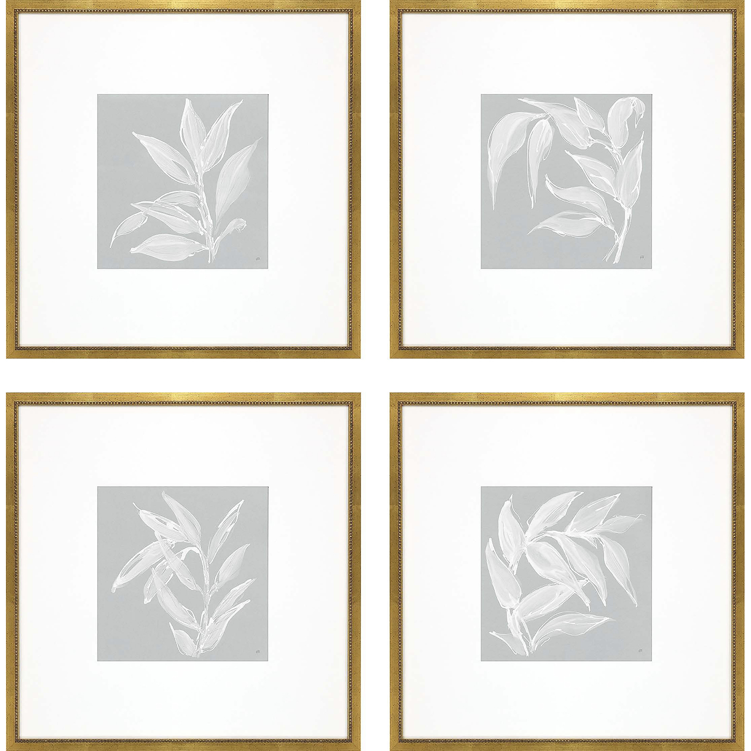 Echinacea / Leaf Study Blue and White Framed Art