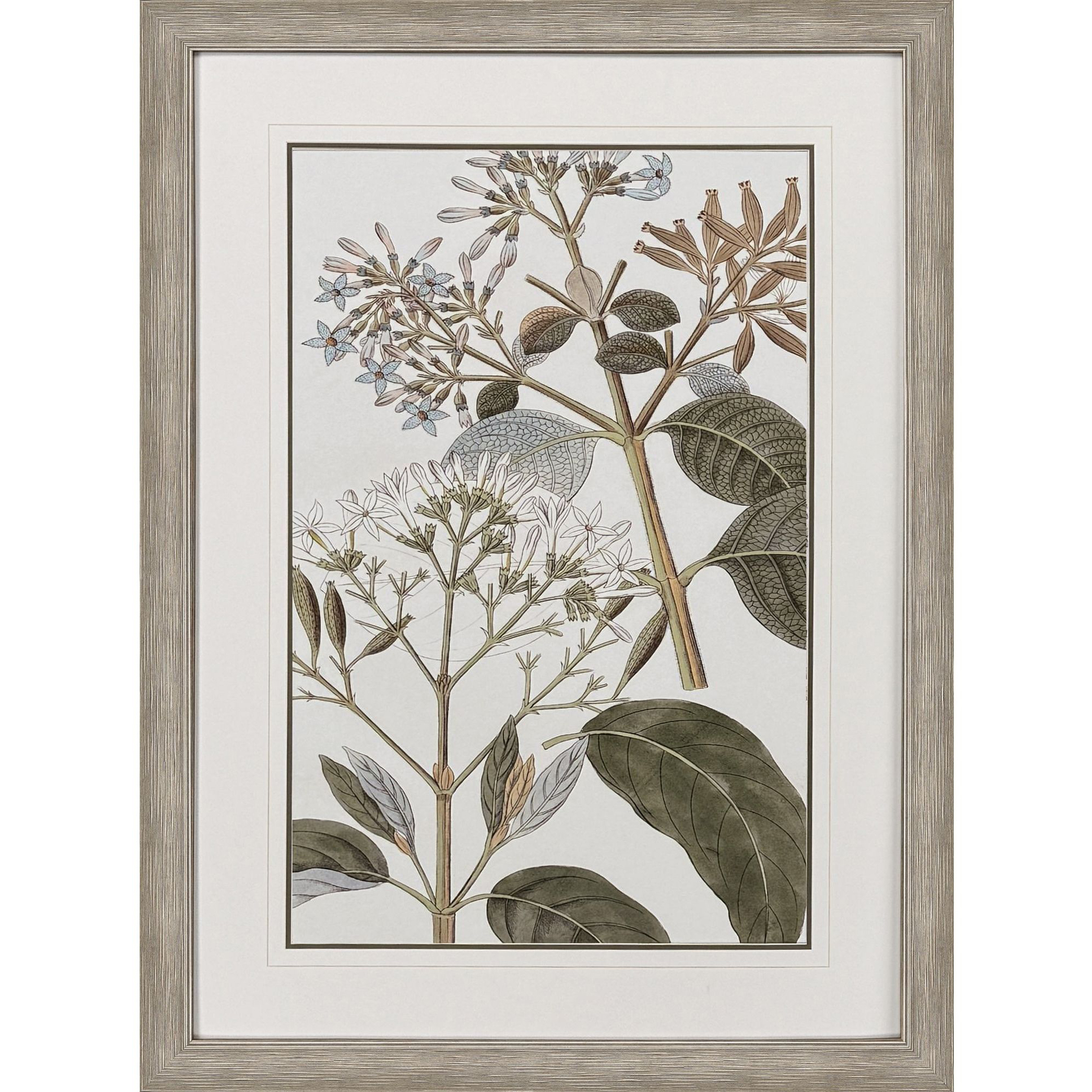Flowering Botanical Green and Beige and Blue and Brown Framed Art