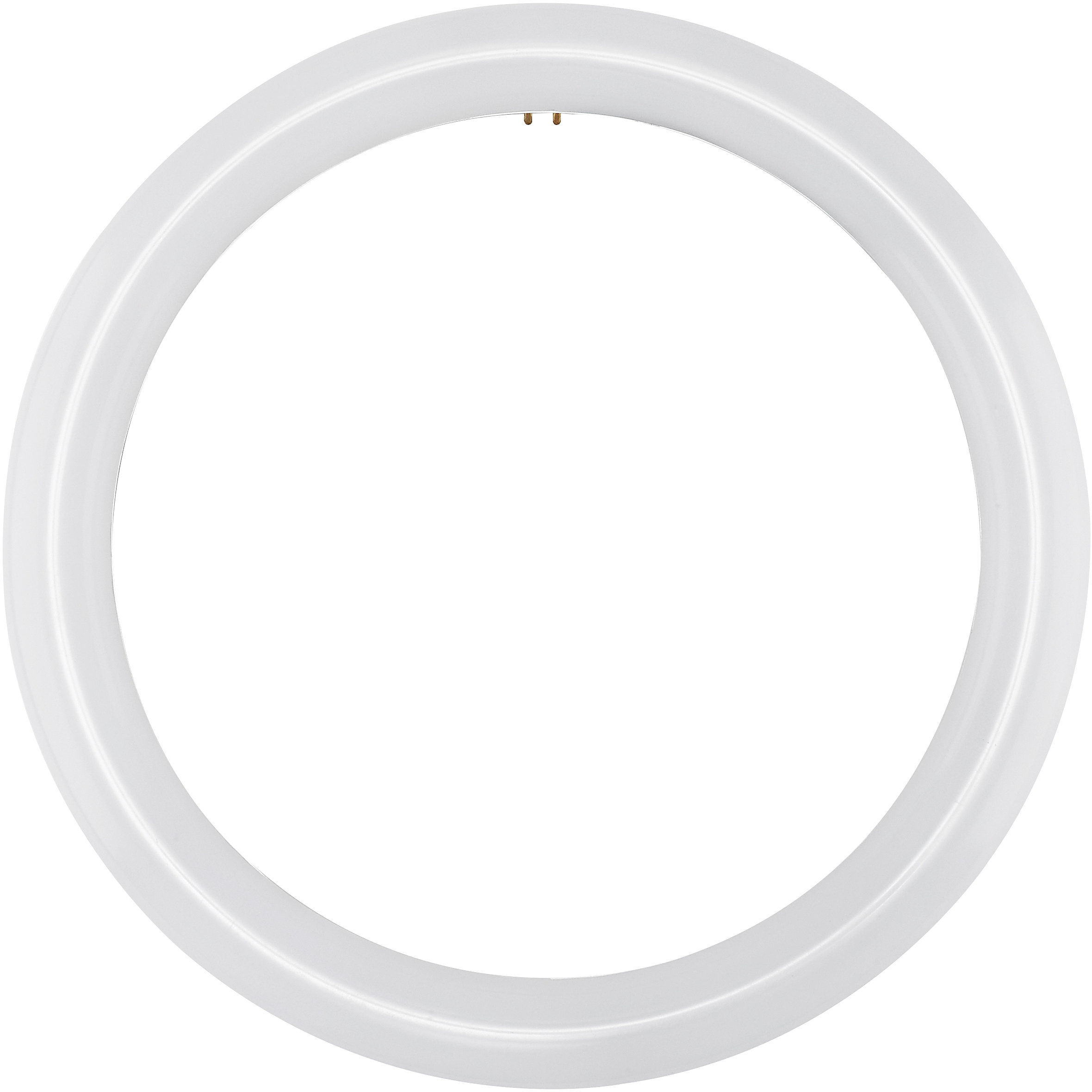 Circline LED T9 4-Pin 16 watt 120V 6500K Light Bulb
