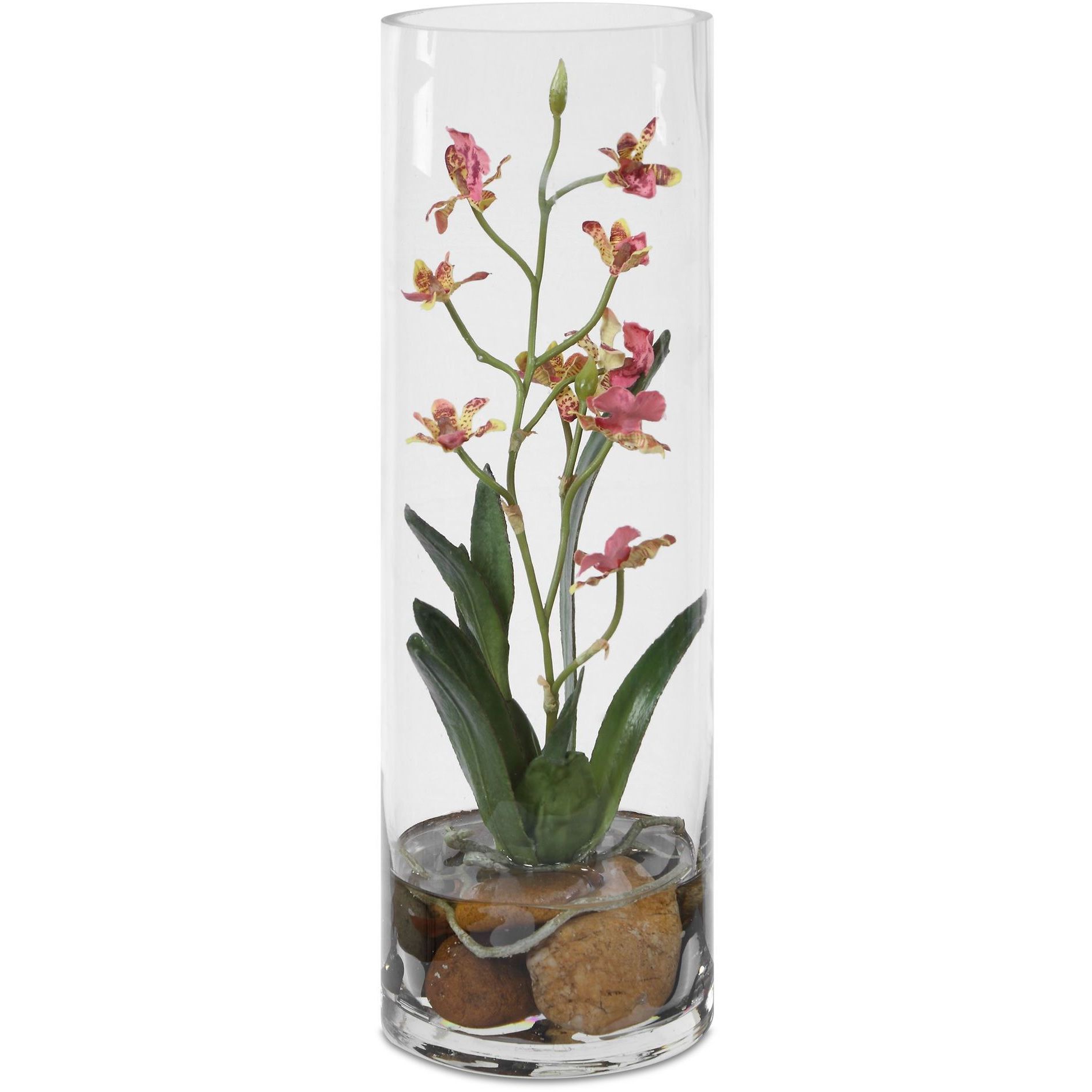 Mariposa Pink and Green and Clear Orchid