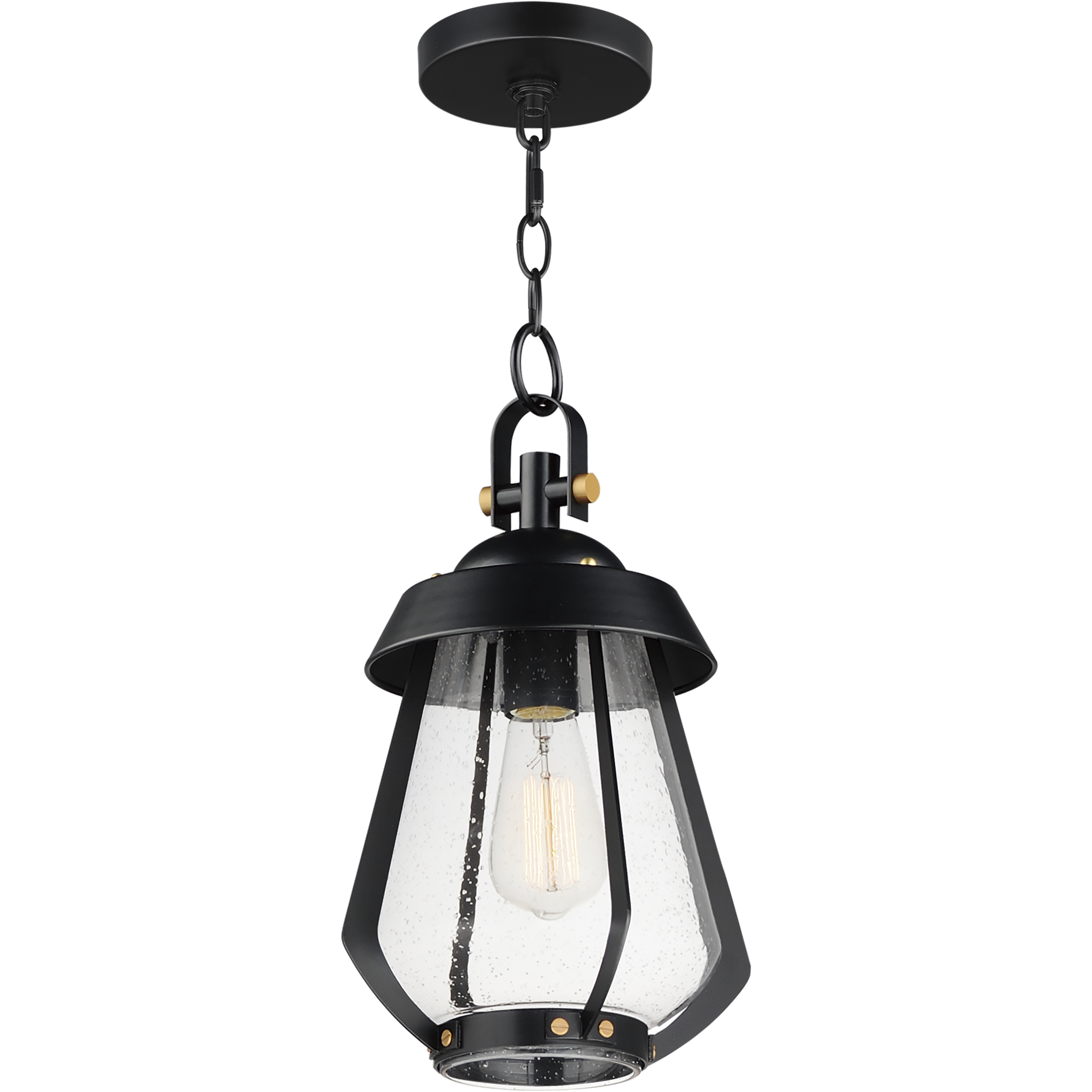 Mariner 1 Light 7.5 inch Black and Antique Brass Outdoor Pendant, Medium