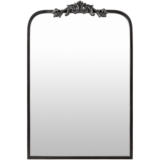 Aarlen 30 X 20 inch Antiqued Wall Mirror