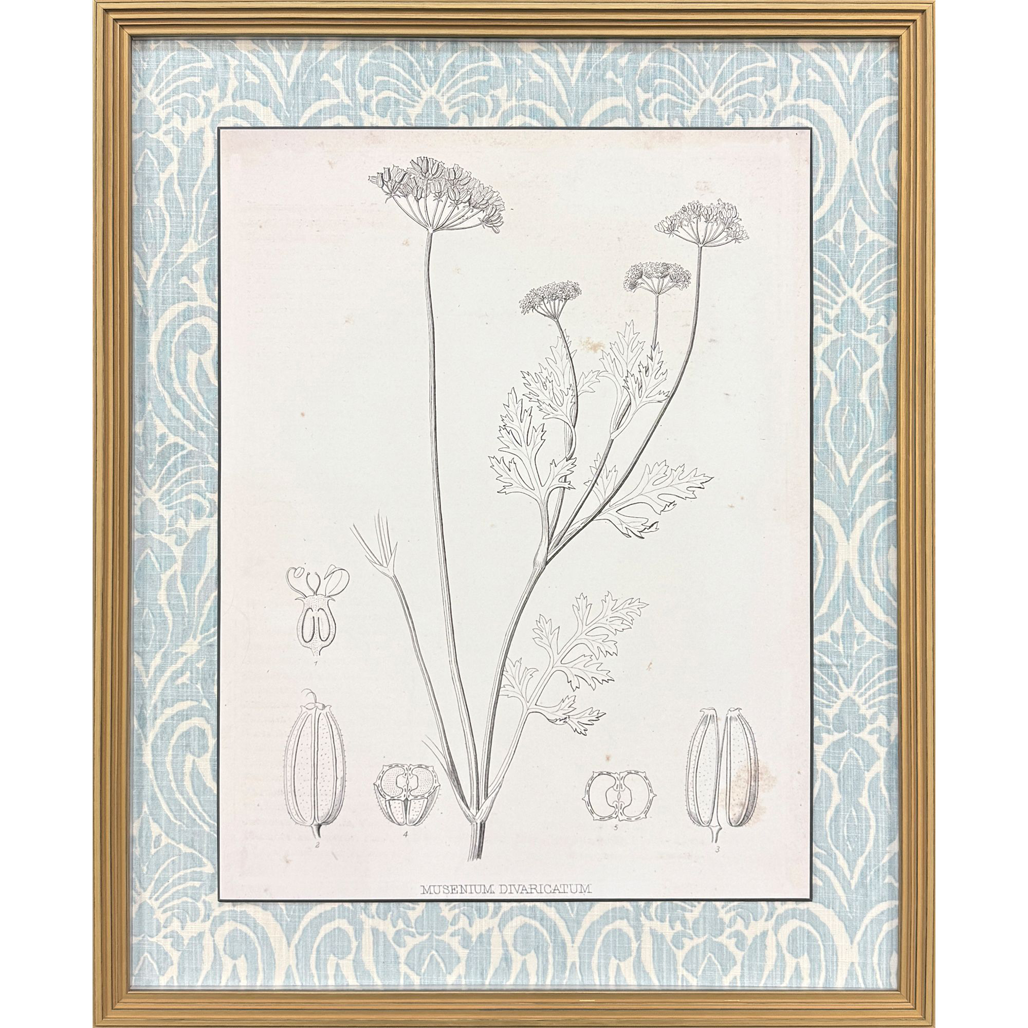 Botanical Sketch III Gray and Beige and Neutral and Sepia Framed Art