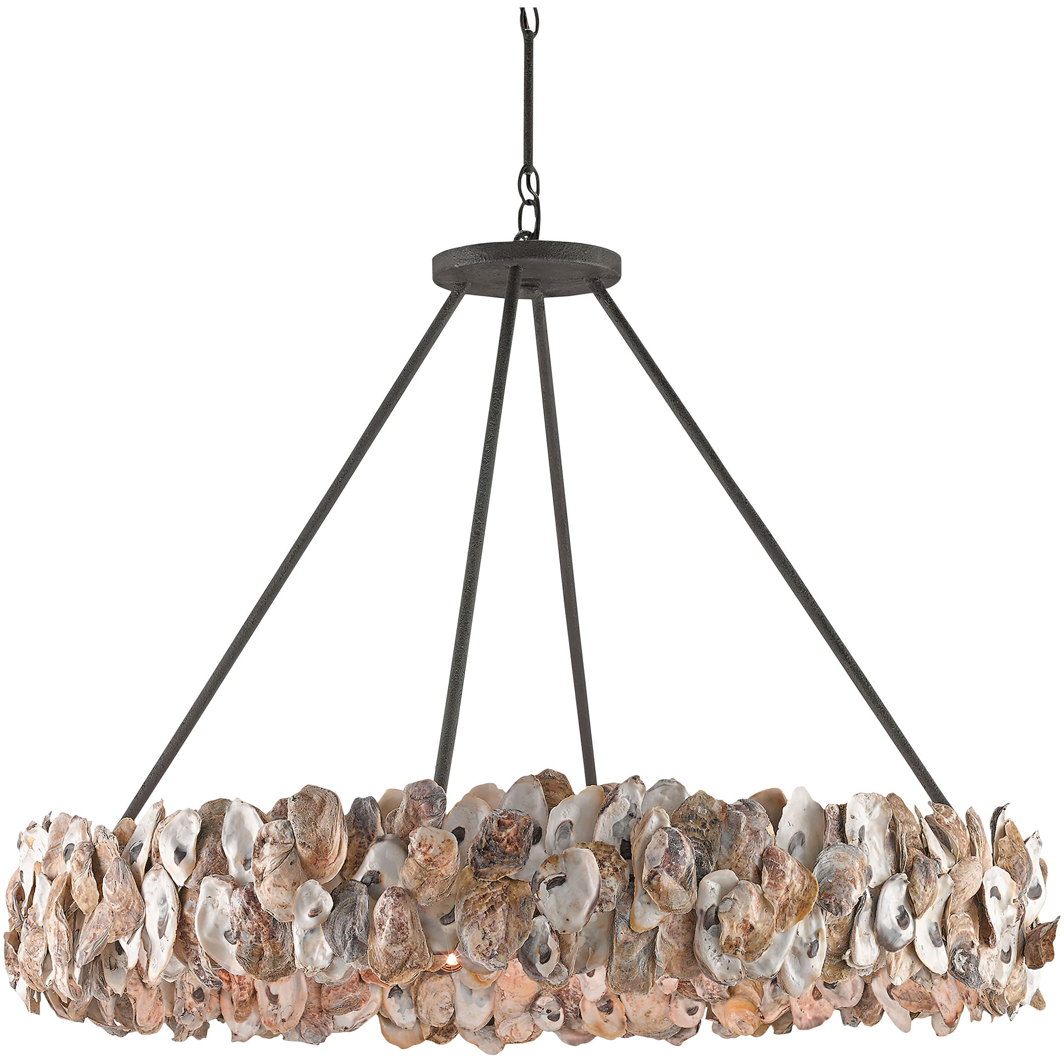 Oyster Shell 8 Light 38 inch Textured Bronze Chandelier Ceiling Light