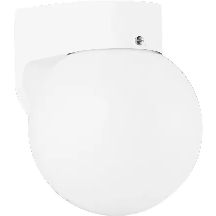 Outdoor Wall 1 Light 7.25 inch White Outdoor Wall Lantern