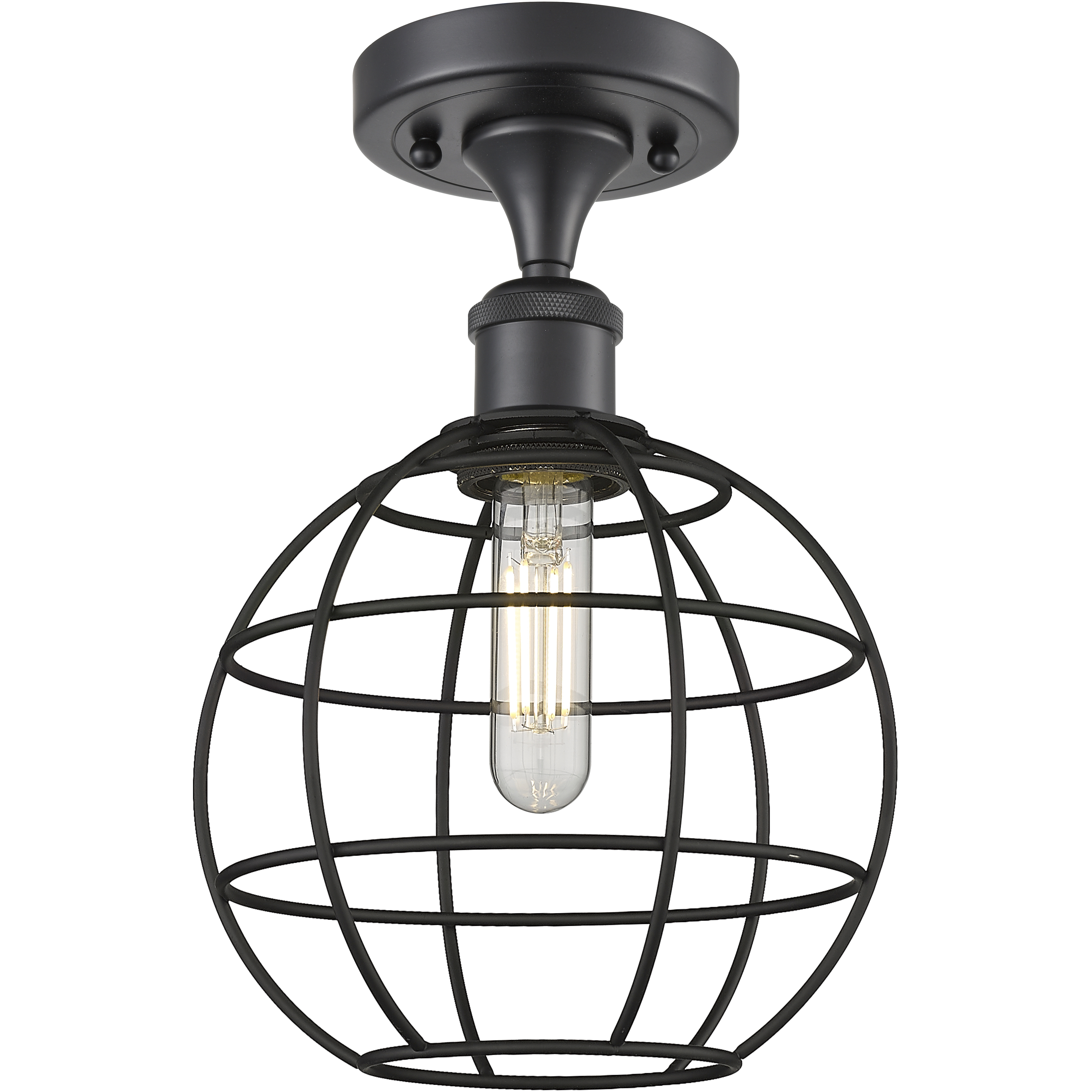 Lake Placid 1 Light 8 inch Matte Black Semi-Flush Mount Ceiling Light