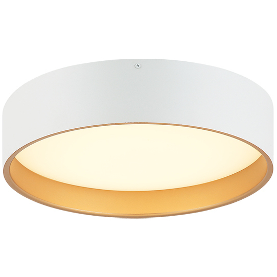 Novalee LED 15 inch Matte White Flush Mount Ceiling Light