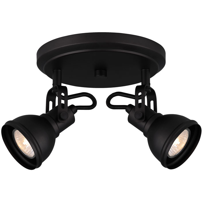 Polo 2 Light 8 inch Black Ceiling/Wall Light Ceiling Light