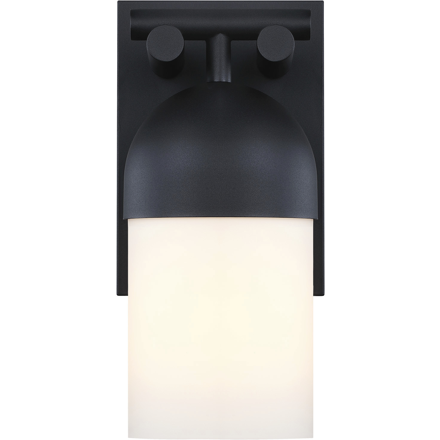 Ever Spring LED 14 inch Black Outdoor Wall Sconce