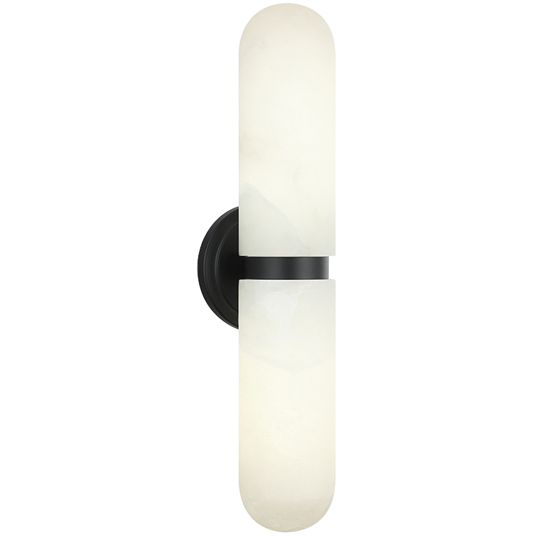 Capsula 2 Light 4.75 inch Matte Black Wall Sconce Wall Light