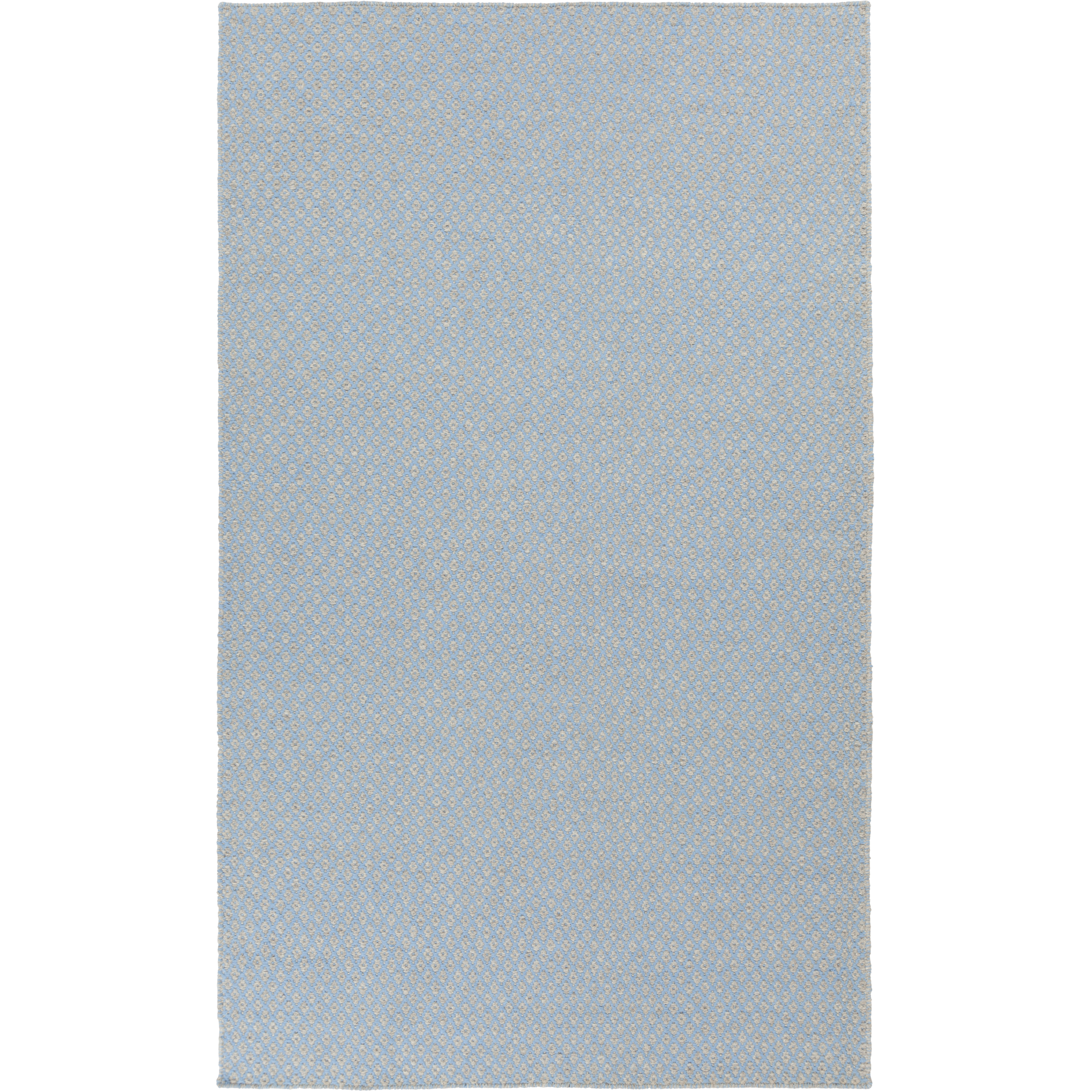 Ravena 36 X 24 inch Sky Blue, Light Gray Rug