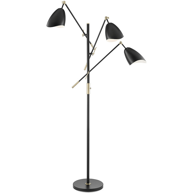 Tanko 68 inch 40.00 watt Black Floor Lamp Portable Light