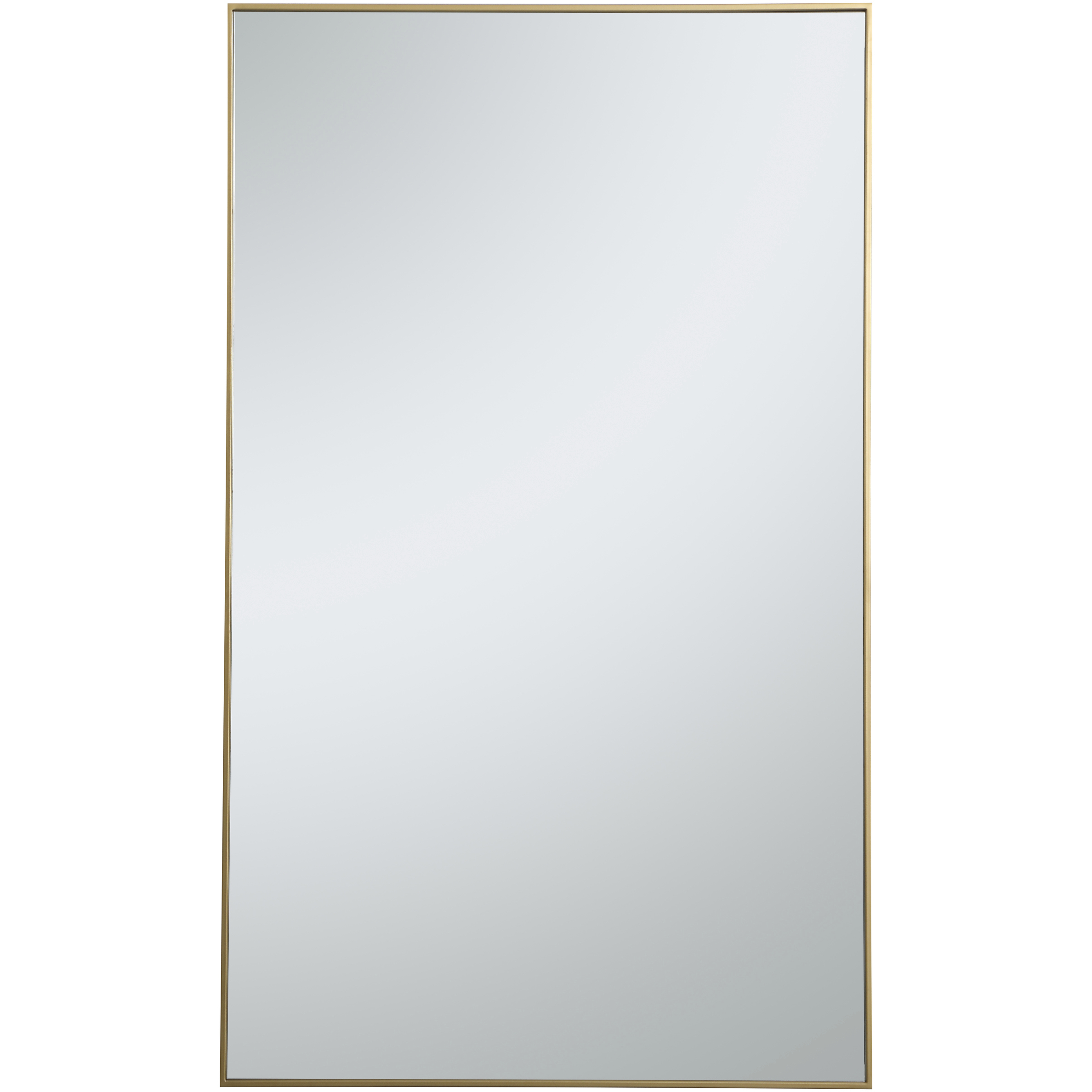 Monet 60 X 36 inch Brass Wall Mirror
