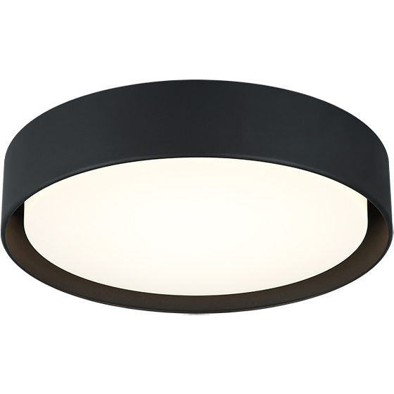 Ezra LED 16 inch Matte Black Flush Mount Ceiling Light