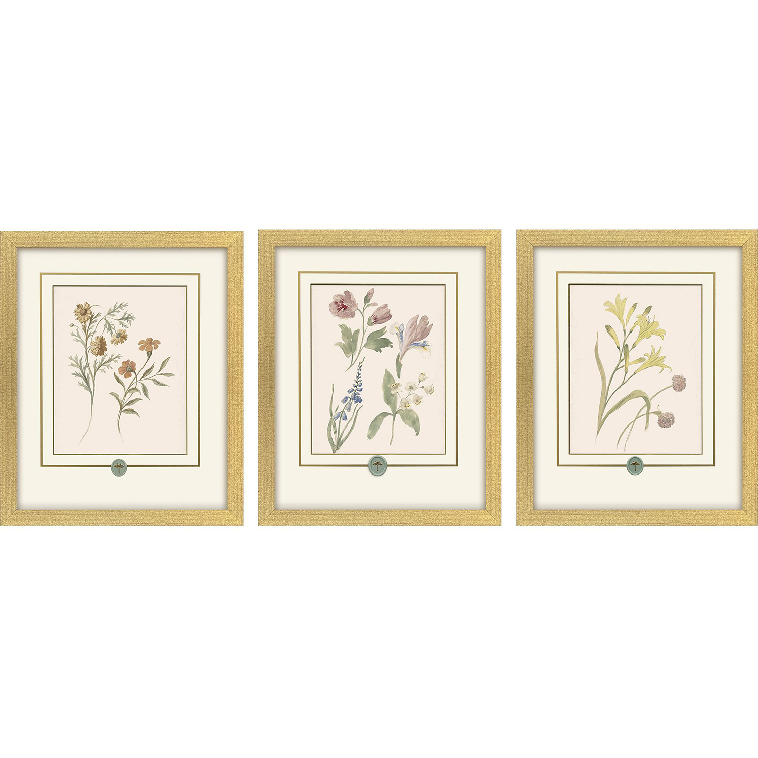 Garden Study Green and Pink and Multi and Yellow Framed Art
