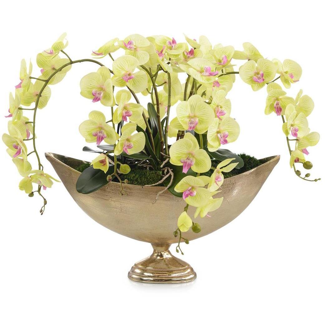 limelight Orchids Botanical, Permanent Florals