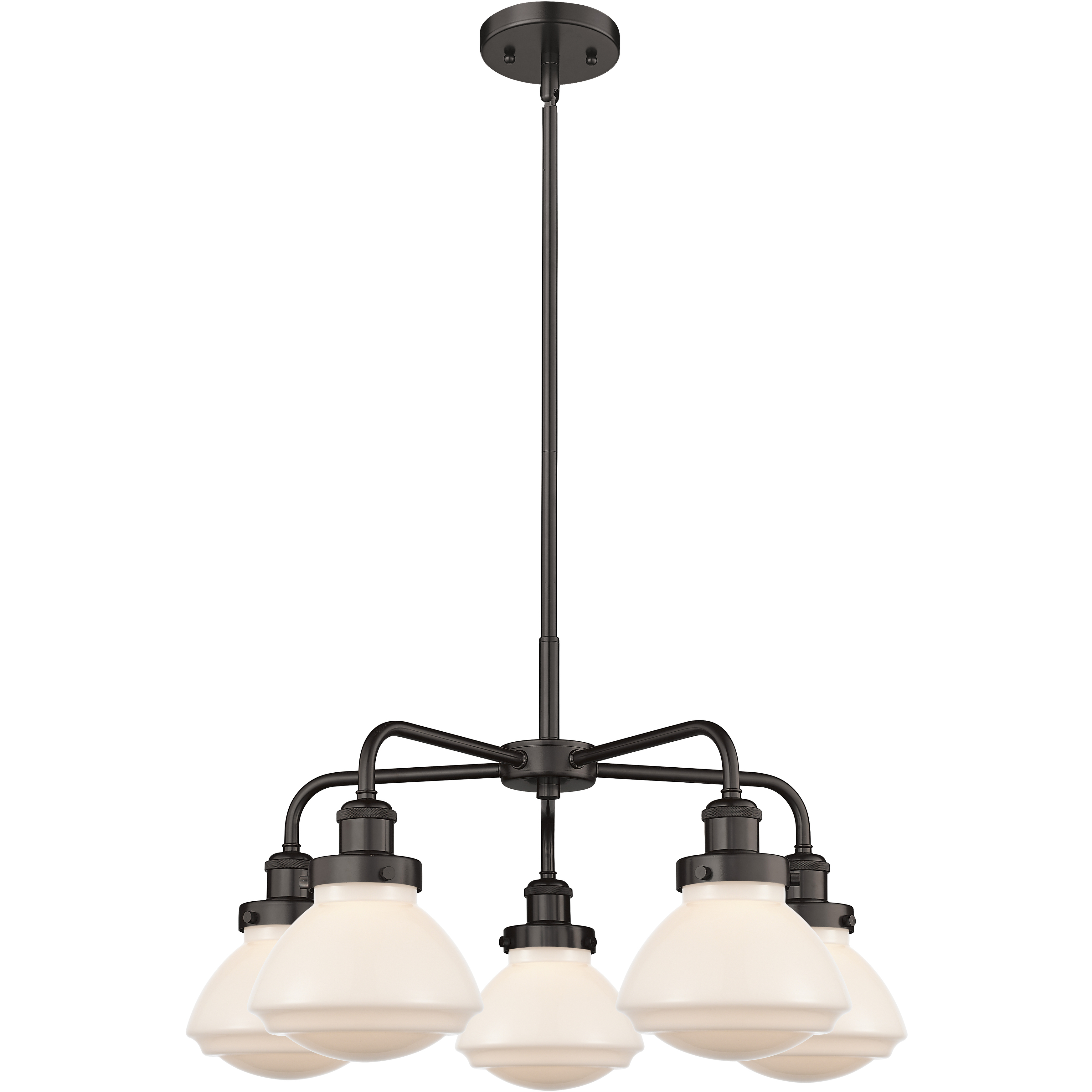 Olean 5 Light 24.5 inch Oil Rubbed Bronze Chandelier Ceiling Light in Matte White Glass