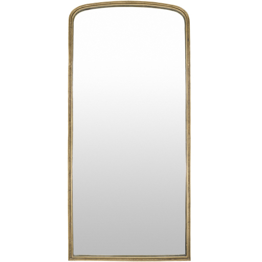 Anemoi 69.25 X 32 inch Plated Full Length Wall Mirror