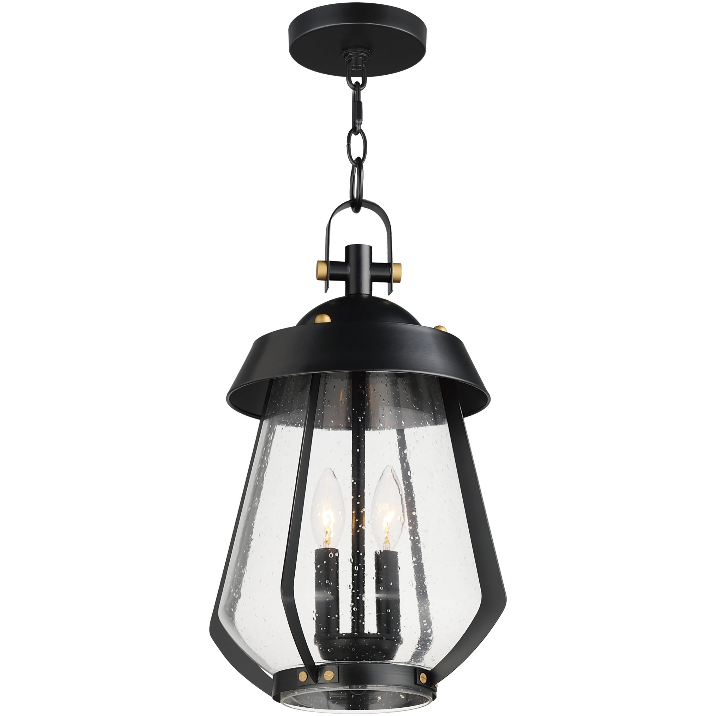 Mariner 2 Light 9.75 inch Black and Antique Brass Outdoor Pendant, Large